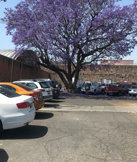 Estacionamiento